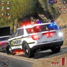 Real City Police Car Chase